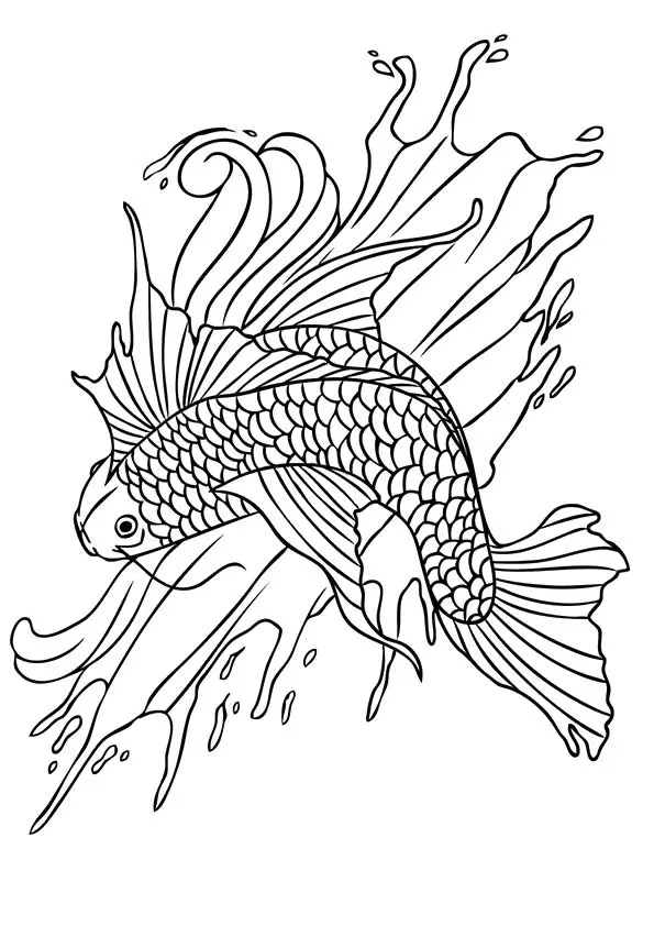 koi-fish-coloring