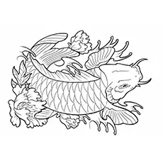 Koi fish by Laranj coloring page