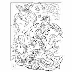 underwater coloring pages to print