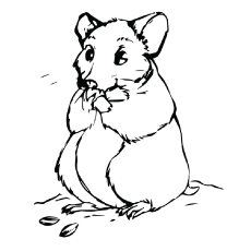 Moffy hamster, hamster coloring pages