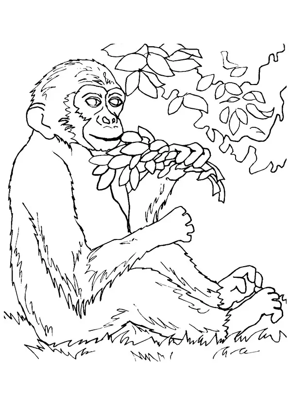 monkey-with-plants