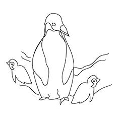 mother-penguin-with-her-kids1-16