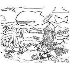 Ocean animals coloring page