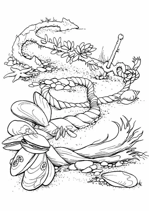 ocean-color-free-sea-creaturecoloring-sheets