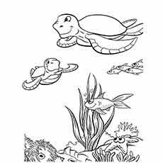 35 best free printable ocean coloring pages online