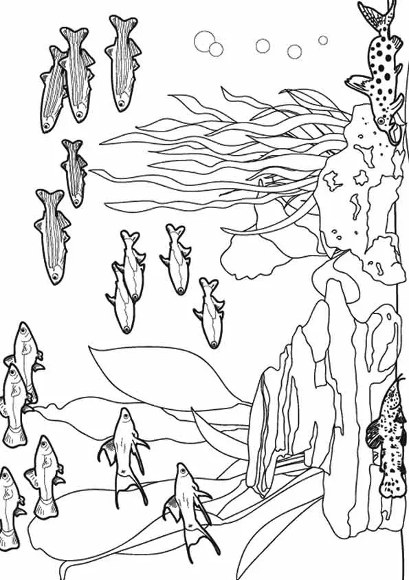 ocean-life-kids-coloring