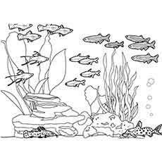 Ocean life coloring page