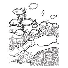 Pacific Ocean coloring page