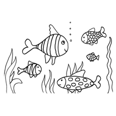 picture-of-5-Koi-Fish