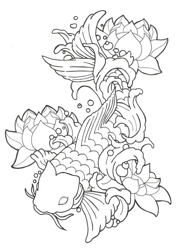 picture-of-Fish-With-Lotus