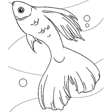 Long tailed koi fish coloring page