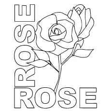Rose coloring page_image