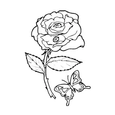 Butterfly near a rose coloring page