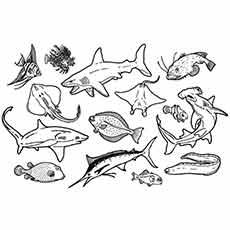 under sea creature coloring pages