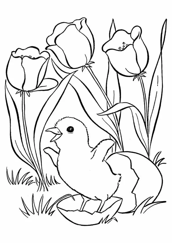 spring-coloring-book-371