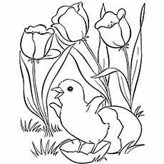 Top 35 Free Printable Spring Coloring Pages Online