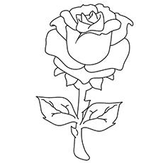 A beautiful rose coloring page_image