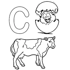 Cow and chicken starts with letter C coloring pages