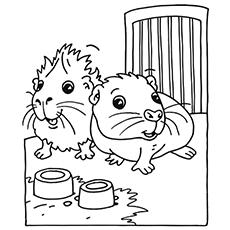 Top 25 Free Printable Guinea Pig Coloring Pages Online