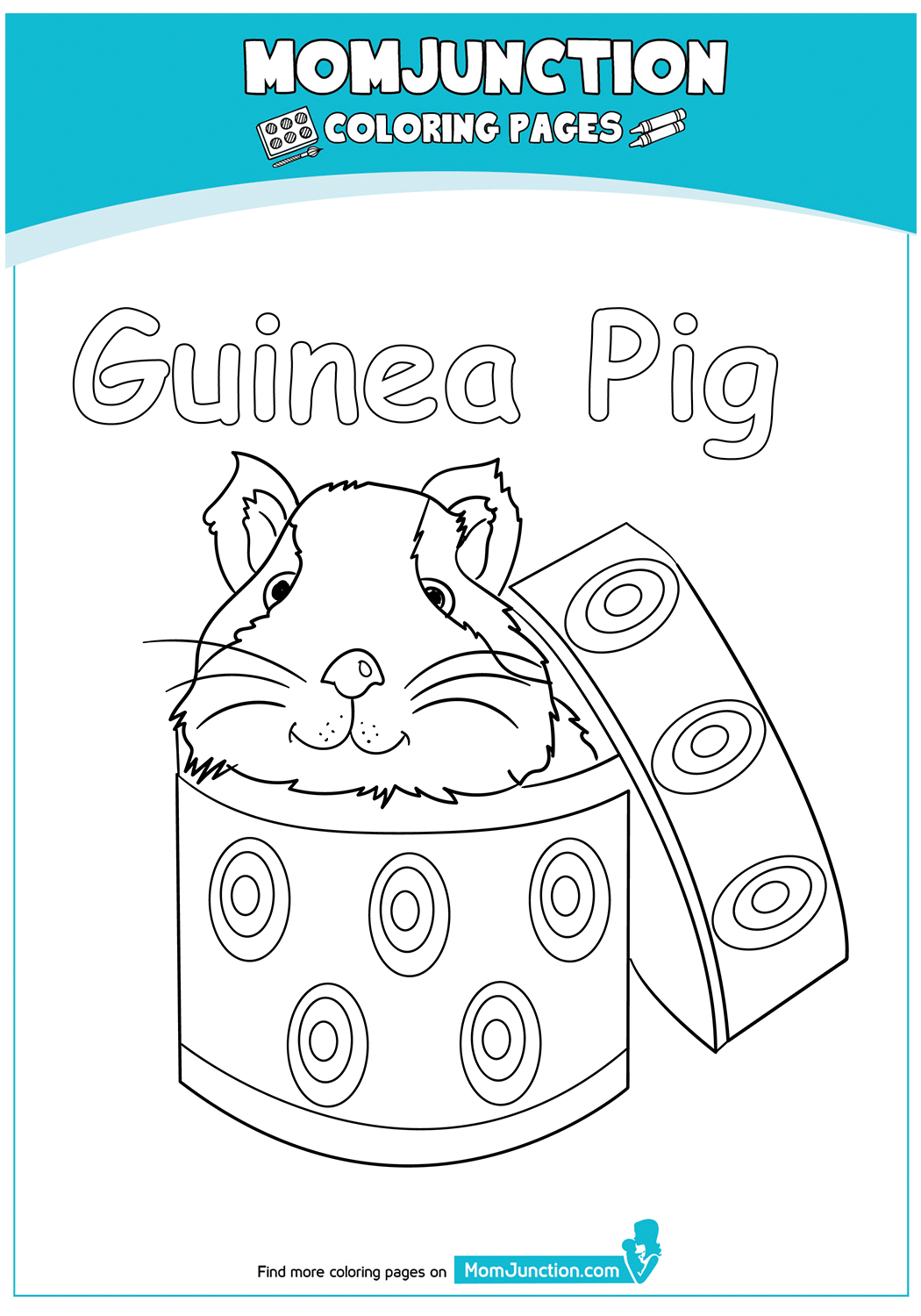 the-guinea-pig-in-a-box-17