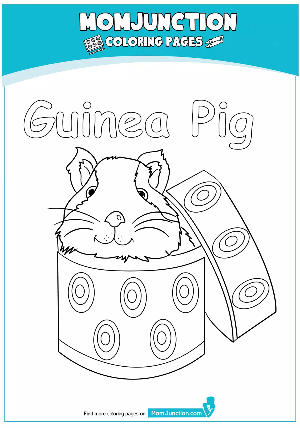 the-guinea-pig-in-a-box-17