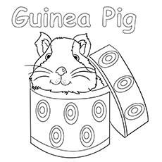 Guinea pig in a box coloring page