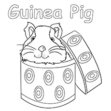 Guinea pig in a box coloring page_image