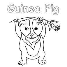 Guinea pig playing with plant coloring page