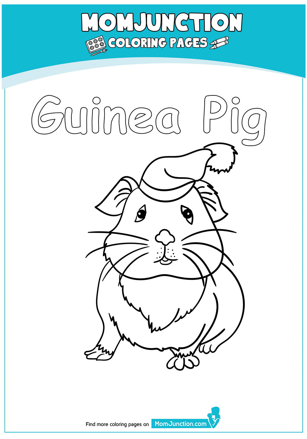 the-guinea-pig-with-a-lovely-hat-17