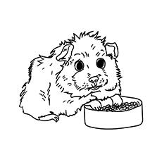 Guinea pig with a bowl of food coloring page