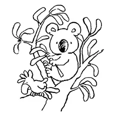 Koala with a bird coloring page_image
