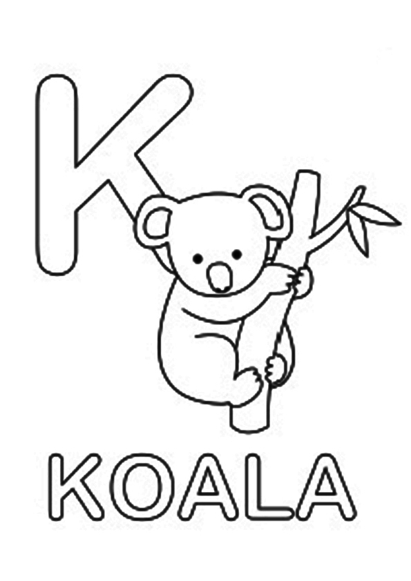 the-spell-koala