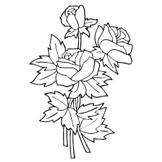 A bouquet of roses coloring page_image