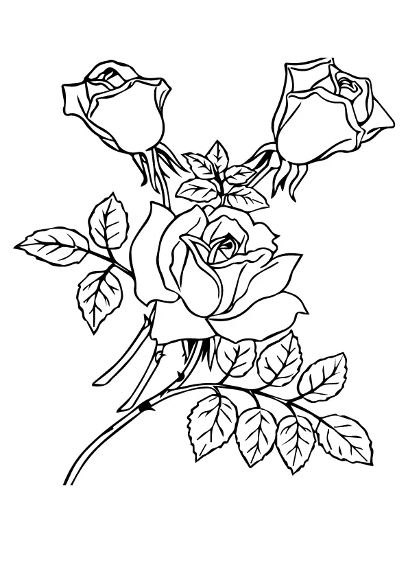 three-roses-with-leaves