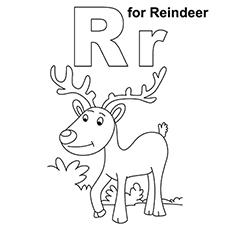 ‘R’-For-Reindeer1_image