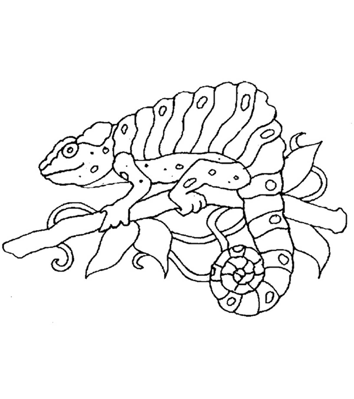 Animal Coloring Pages - MomJunction