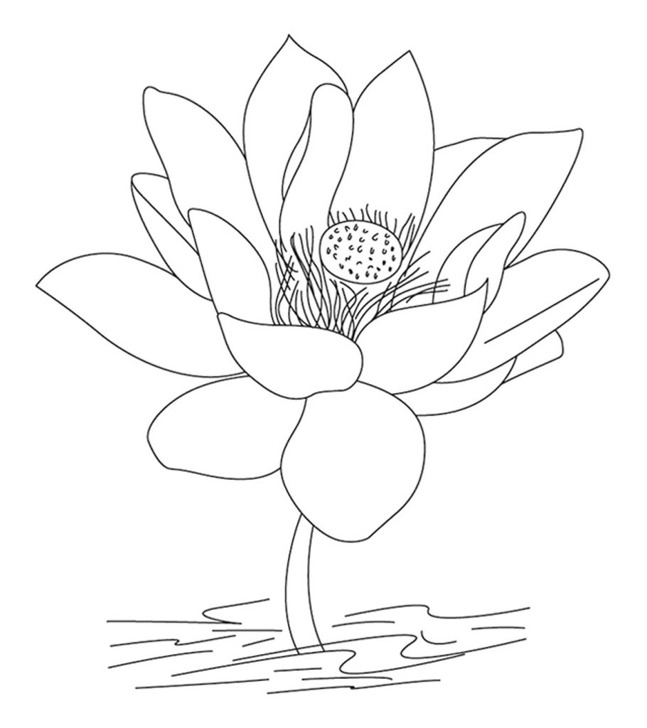 Top 20 Free Printable India Coloring Pages Online