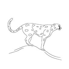 Cheetah on the hill coloring page