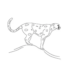 Cheetah on the hill coloring page