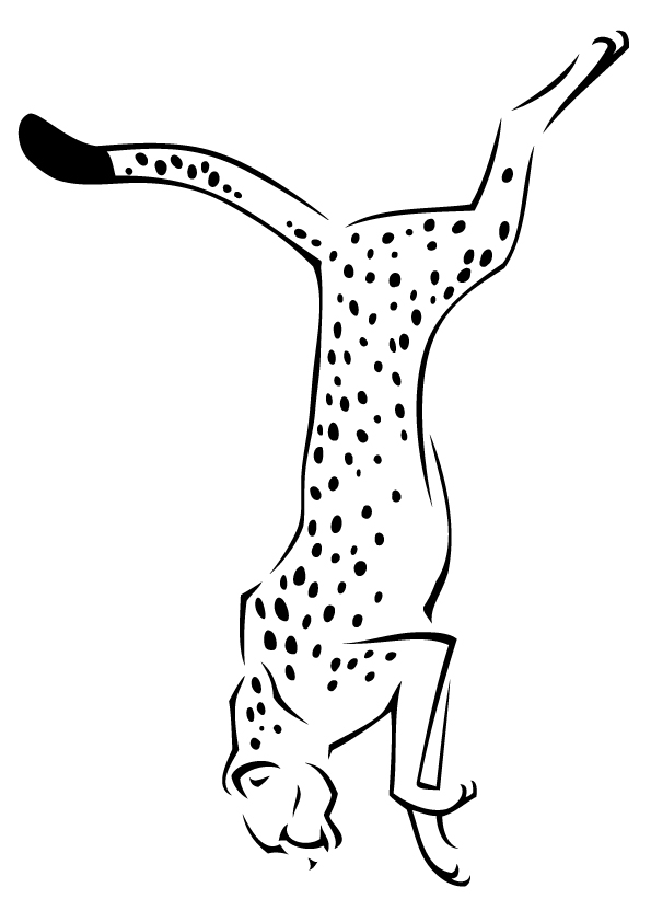 A-Cheetah-jumping
