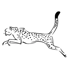 A Cheetah Jumping coloring page