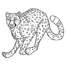 A Contemplating Cheetah coloring page
