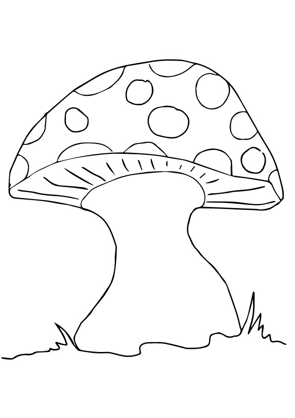 A-Mushroom-Coloring-Pages-toad-stoolspots