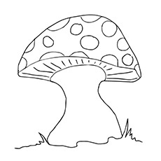 Toadstool mushroom coloring page