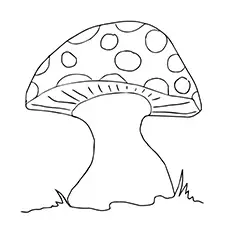 Toadstool mushroom coloring page_image
