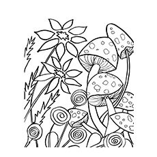 Flowers and mushrooms coloring page
