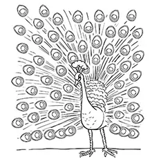 The Peacocok, India coloring page