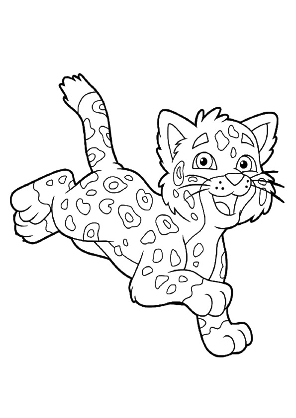 A-Running-Cheetahha