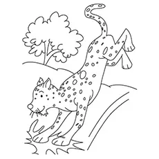 A young cheetah picture coloring page