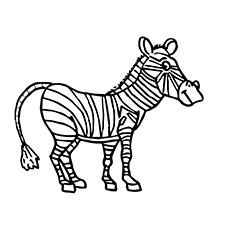 Stripped zebra coloring page